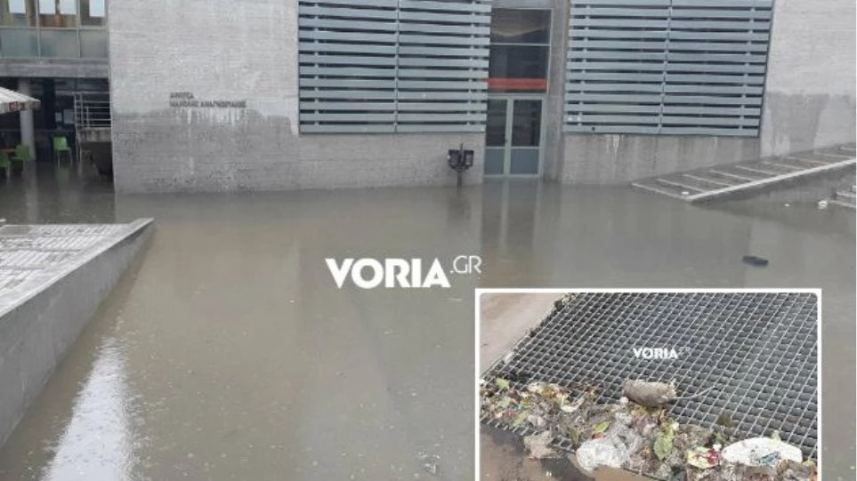Aπίστευτο: Η νεροποντή ξέβρασε νεκρά ποντίκια στο δημαρχείο Θεσσαλονίκης – Βίντεο